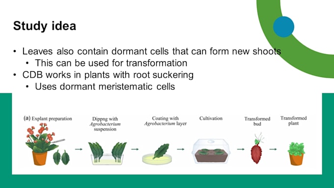 create professional biology powerpoint presentations