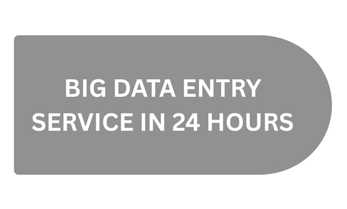 do scalable big data entry service in 24 hours