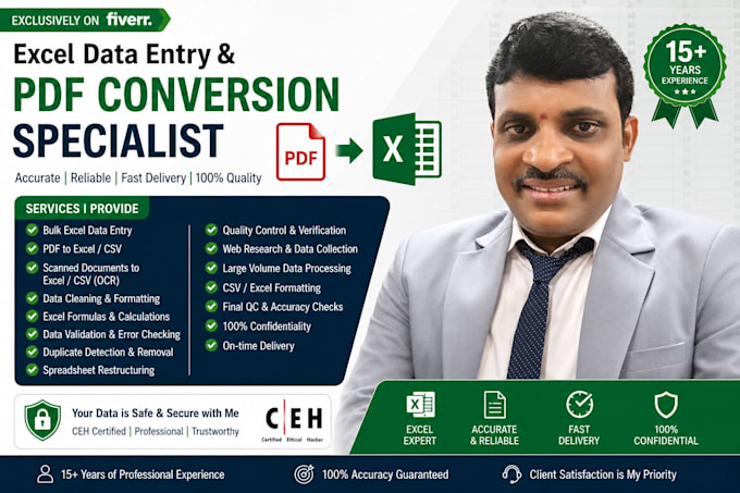 excel data entry PDF conversion specialist