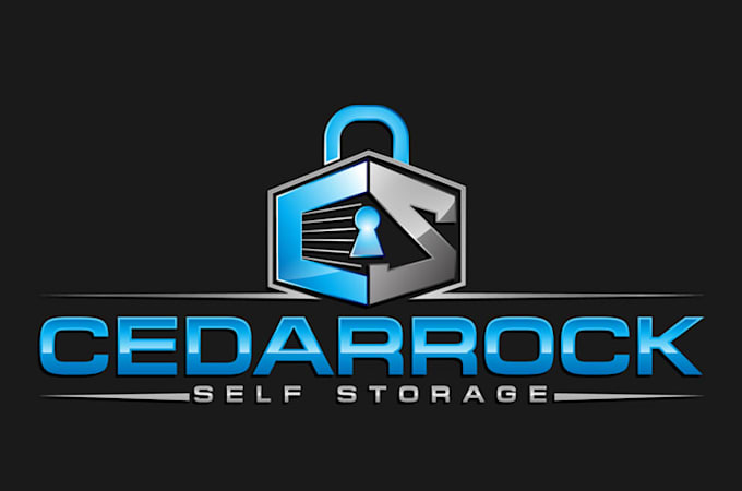 create a unique storage logo with a clean and memorable