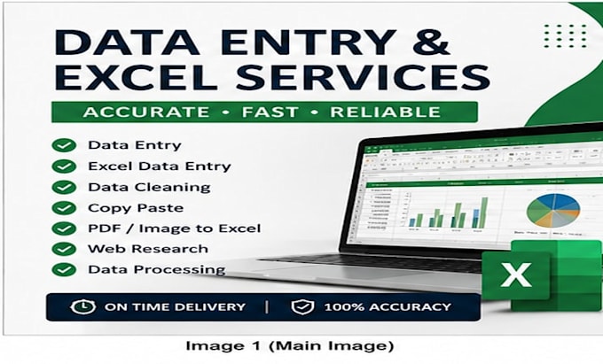 do data entry, excel spreadsheet and data cleaning