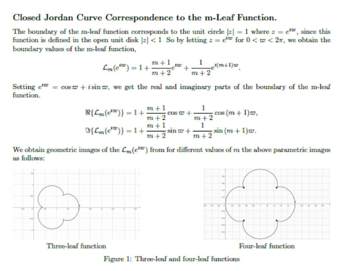 professionally typeset mathematical equations in latex