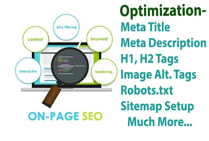 do professional Onpage SEO service for google ranking