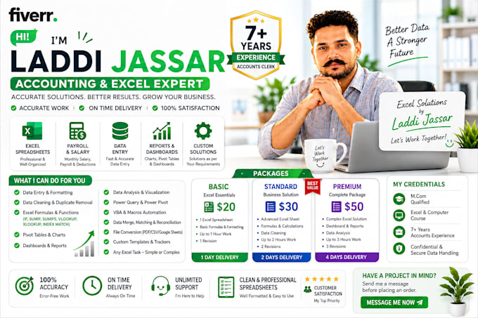 create professional excel formulas, payroll, reports, pivotable, v lookup etc
