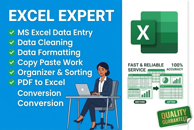do expert ms excel data entry data cleaning and formatting