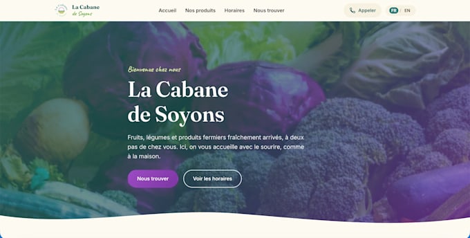 build a modern responsive website for your business
