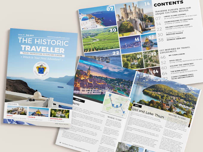 design a pro report, magazine, book and visualize data