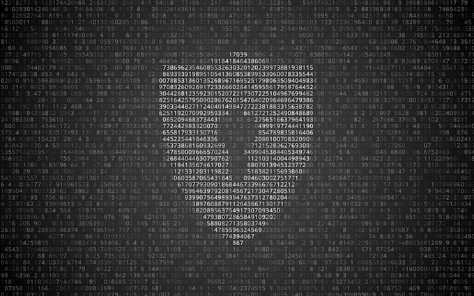 perform network and web application penetration testing