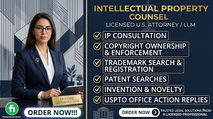provide professional IP legal consultation