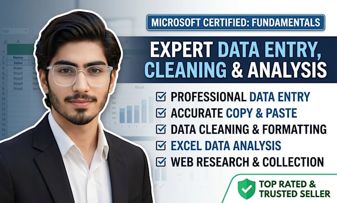 do data entry data cleaning excel data analysis
