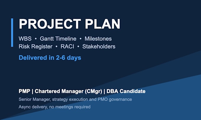 create a professional project plan with wbs, gantt timeline and risk register