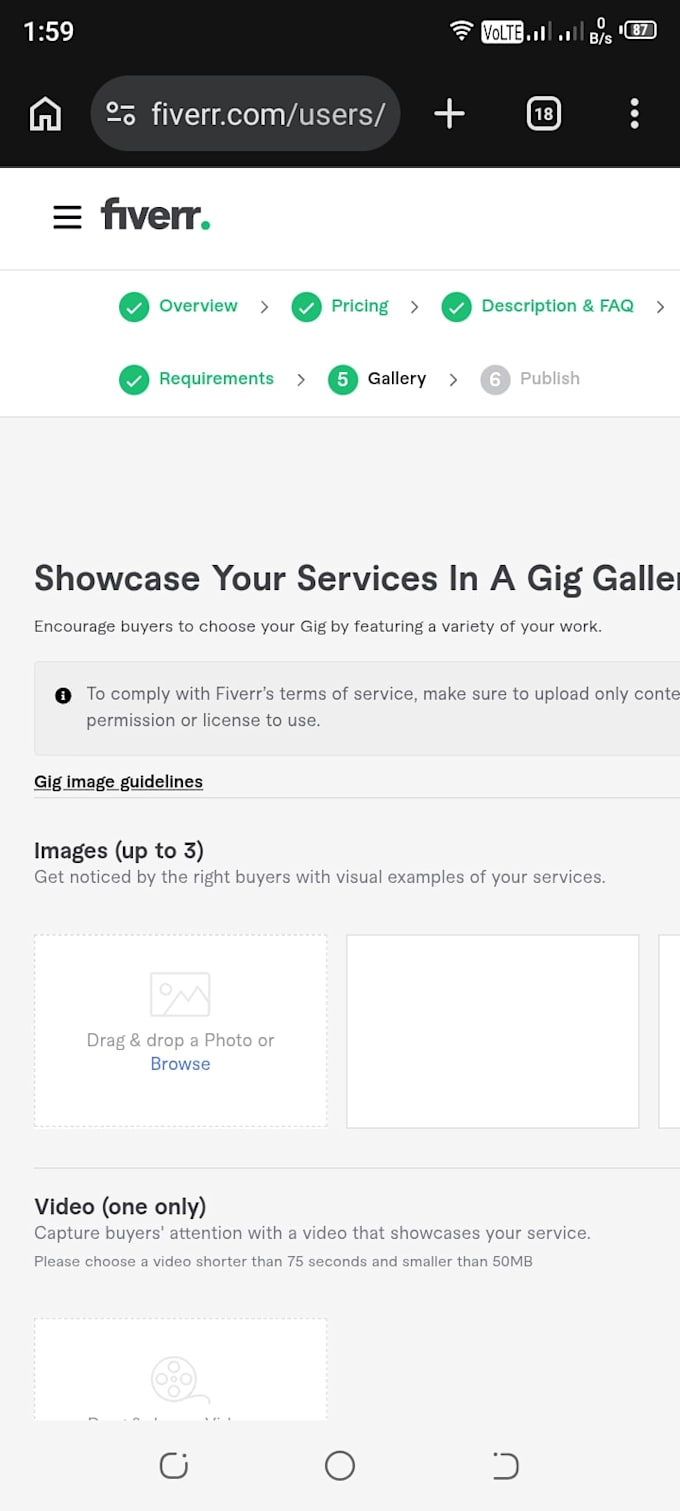 design a responsive wordpress or shopify website