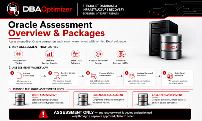 assess damaged oracle databases and provide technical recovery evidence