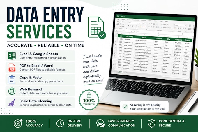 do accurate data entry and excel work