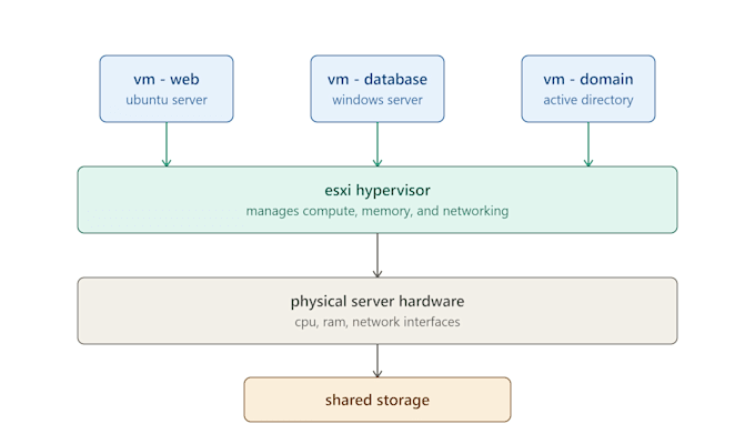 setup network infrastructure and esxi