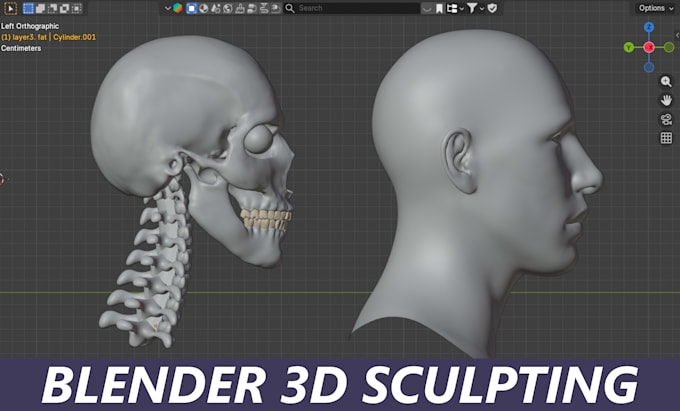 sculpt realistic bust model, head or anatomy in blender