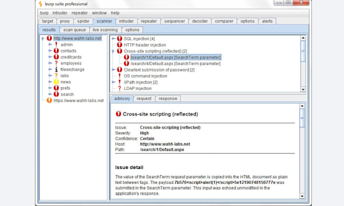do web penetration testing