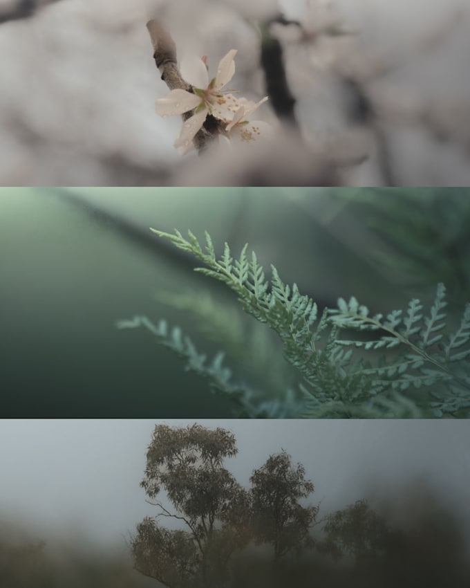 professional photo editing and retouching