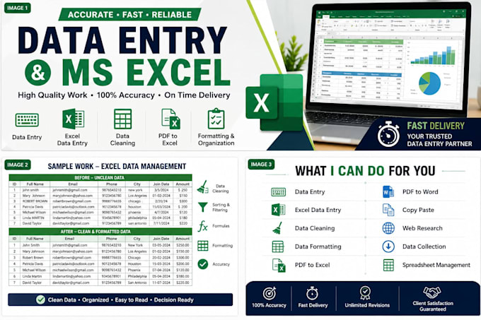 data entry, data cleaning, excel