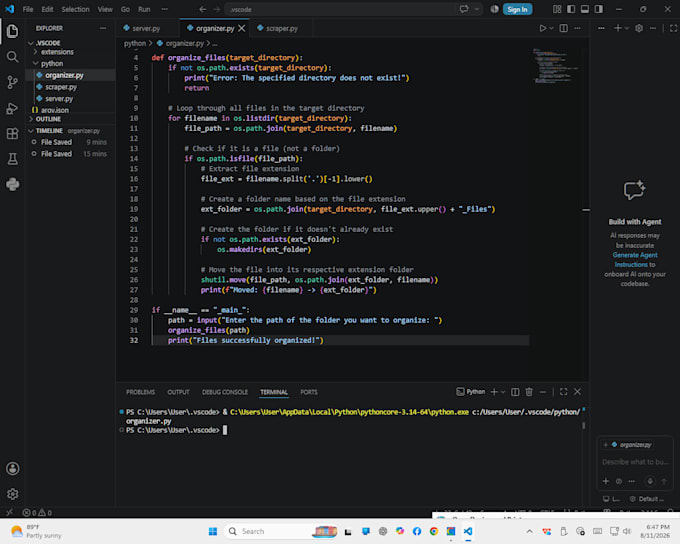 write custom python automation scripts and file organizers