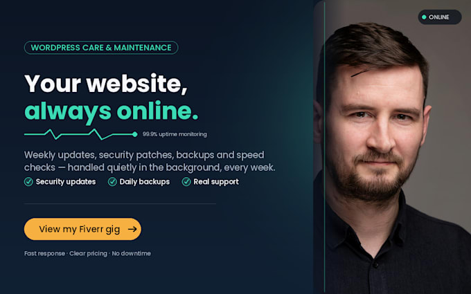 do everyday wordpress maintainance