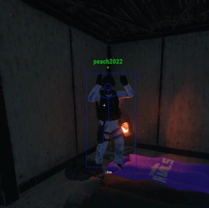 come cheat or play a wipe with cheats on rust