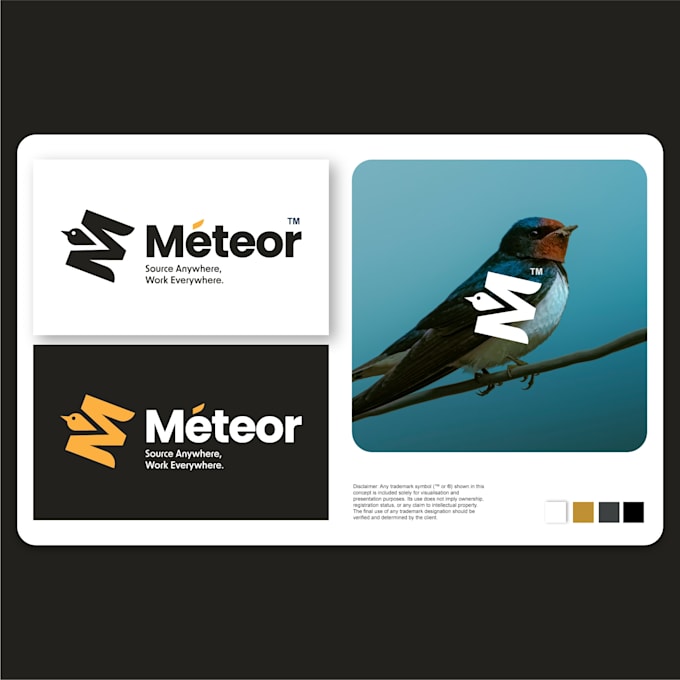 create distinctive visual identities and illustrations