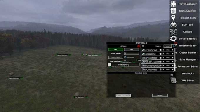 setup and mod console dayz server configuration and xml coding