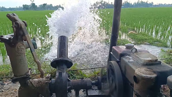 create authentic countryside videos for instagram reels