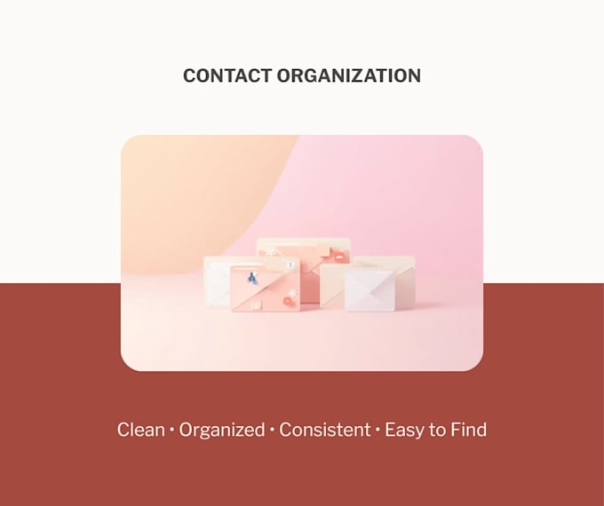 organize and clean up your business contacts