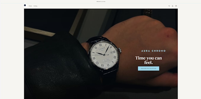build an professional shopify store with horizon theme