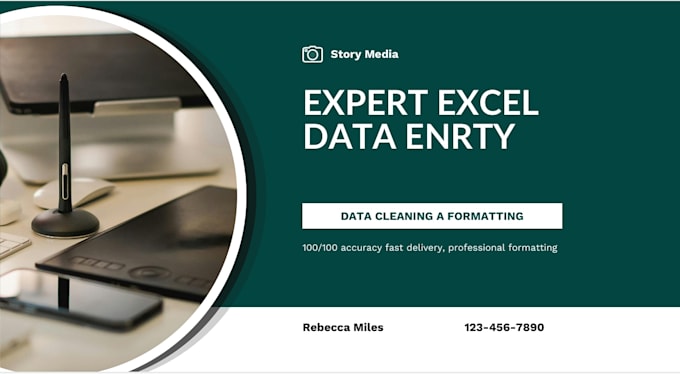 do professional excel data entry, formatting and data cleaning