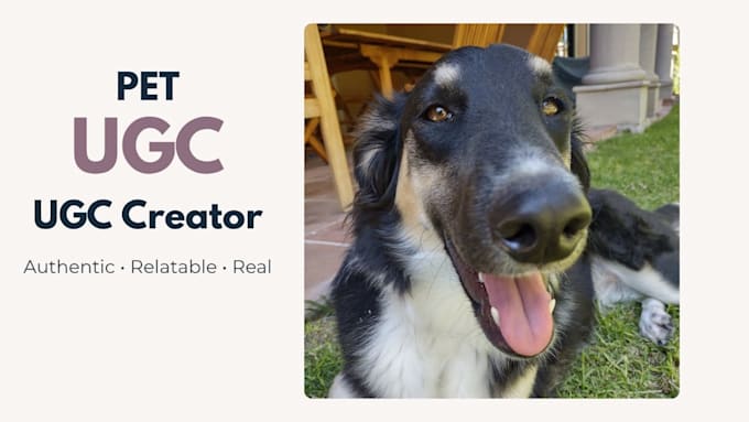 create dog ugc ads and product photos