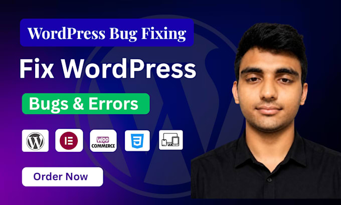 fix wordpress bugs, errors, CSS, elementor and responsive issues