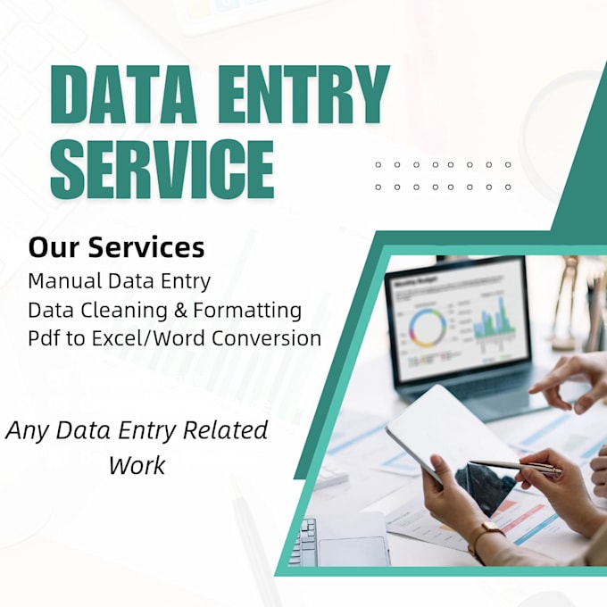 do data entry, data cleaning and PDF conversion