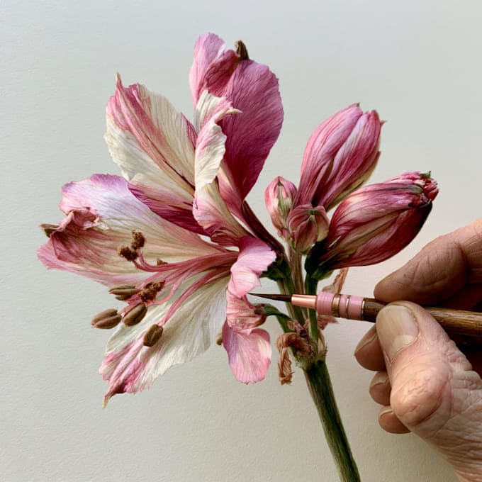 paint watercolor flowers and botanical illustrations