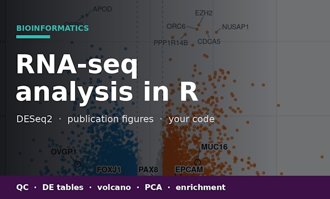 do rna seq differential expression analysis in r with deseq2
