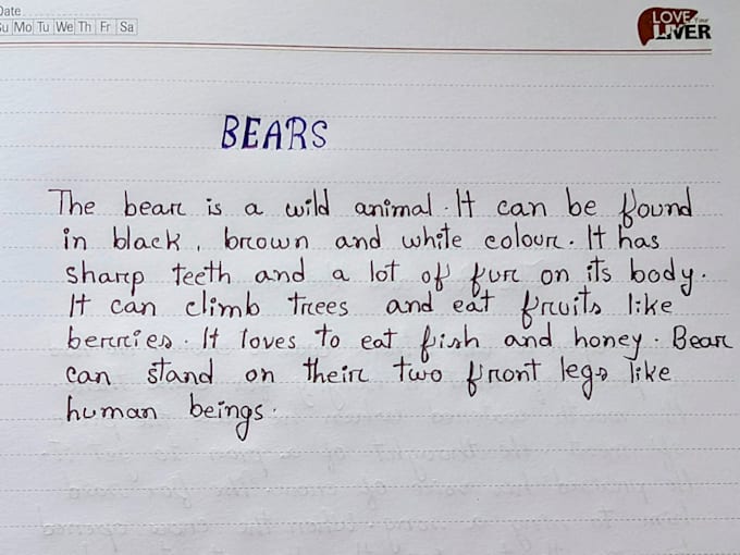 provide professional customized  handwriting services for you
