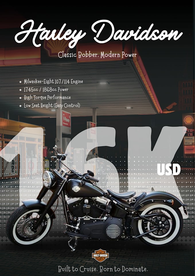 design professional custom posters and flyers