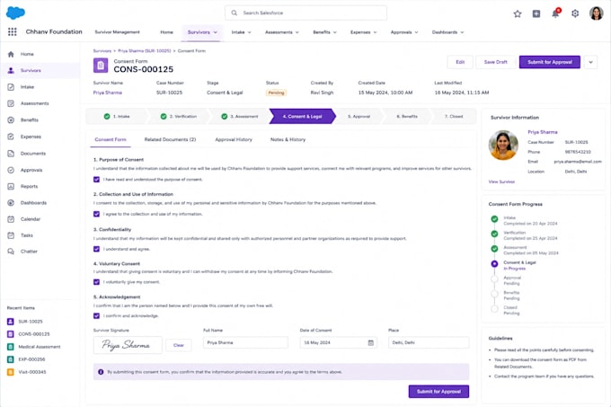 develop architect customize and integrate your salesforce CRM