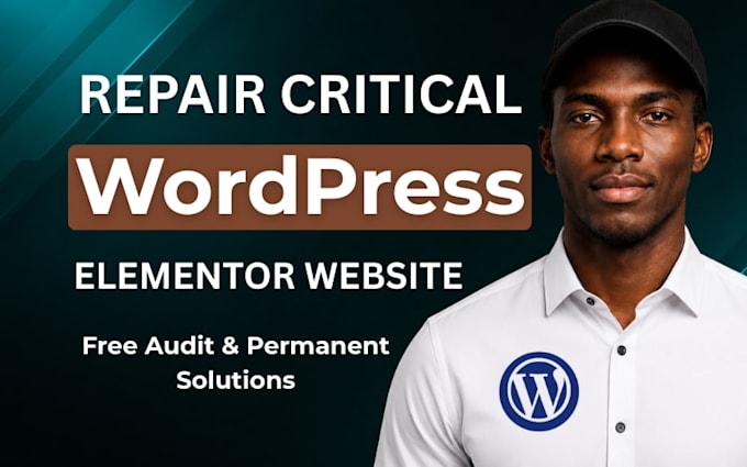 repair any problems on wordpress bugs and elementor errors