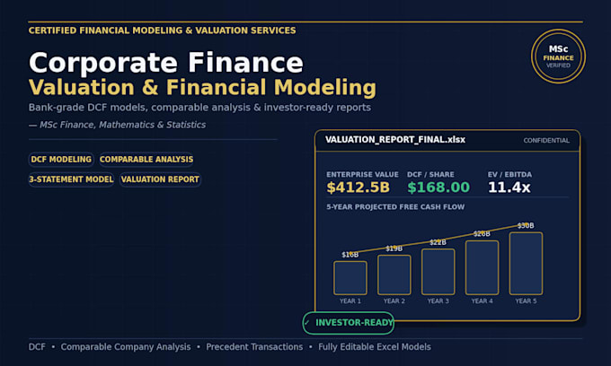 build a professional financial model and valuation report