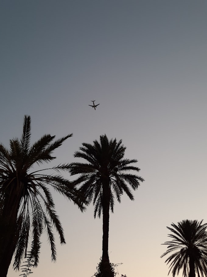 create a personalized budget travel plan for you