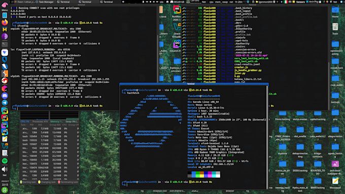 perform a penetration test, ethical hacking