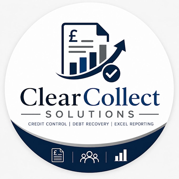 provide professional credit control services
