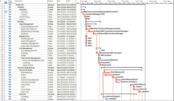 create a professional project schedule and gantt chart in ms project