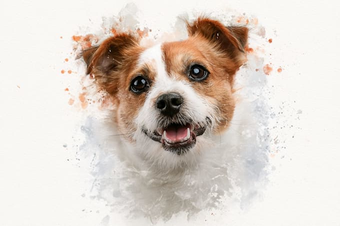 draw watercolor pet portrait