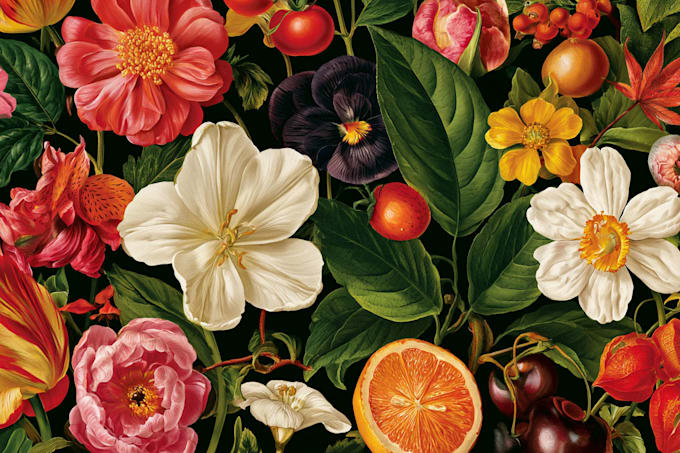 draw high quality flowers botanical line art for floral