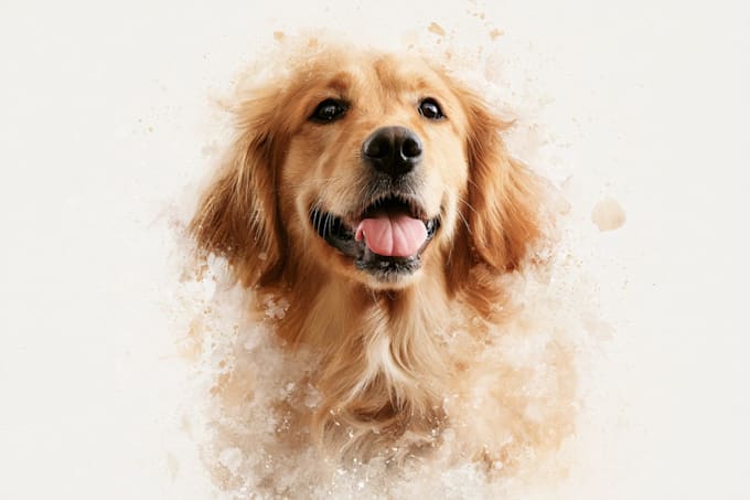 digital watercolor pet portrait art