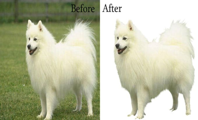 remove background from image or transparent or erase quickly